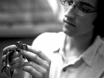 Research studies toxins found in newts