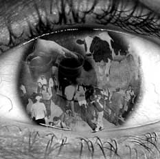 Image studies looks at preceptions of USU