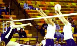 Utah State spikers continue 12-year long losing streak at Crimson Court