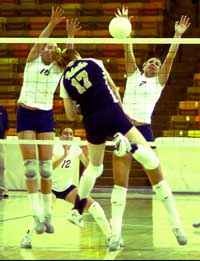 USU volleyball puts the clamps on Vandals