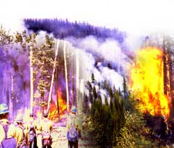 Fires burn up camping season
