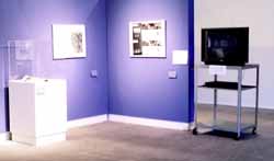 University museum exhibition draws criticism