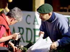 Harvesting fun at the Cache Gardener’s Market
