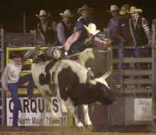 Rodeo brings large crowd