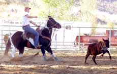 Meet the Rodeo Club