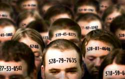 University looks at short-term fixes for Social Security number vulnerability