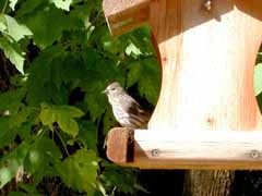 Nature center gives students chance to see outdoors