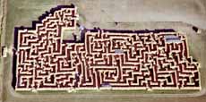 Cache Valley features one straw maze and two mazes of maize