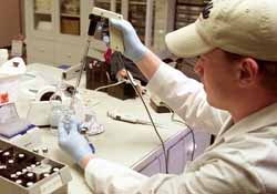 USU researchers make progress on mad cow disease