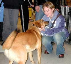 Homeless Humane Society