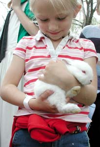 Baby animals help celebrate spring