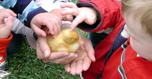 Little kids get to hold little critters