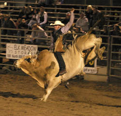 Page leads USU in home rodeo