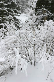 Six Years: Recent rain, snow could help with Utah’s drought