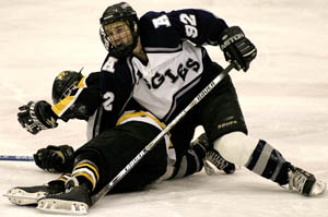 Hockey team goes 2-1 in homestand