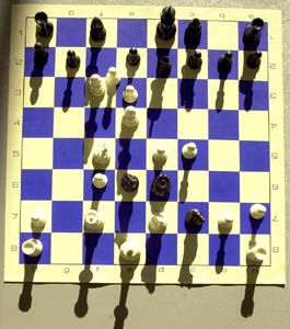Checkmate: USU Chess Club hosts a chess tournament along with Edith Bowen elementary students