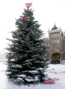 Holiday Cheer On the Quad