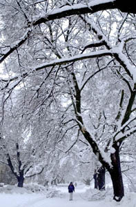Classes cancelled due to snowfall