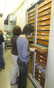 Bug Club explores USU’s giant collection of insects
