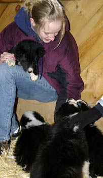 Baby animals delight children