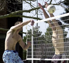 Club volleyball team opts out of tournament