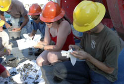 Seismic Research