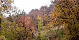 Utah not out of drought yet