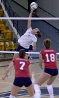 Spikers get NCAA berth