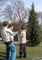 Students lend a tree limb for service
