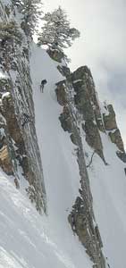 The Freedom of a Higher Powder