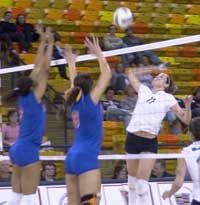 Busting the Broncs