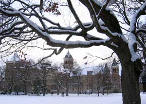 Newly Fallen Snow
