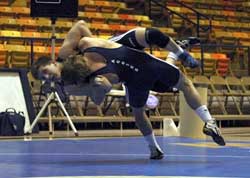 Wrestle Mania