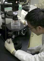 Program helps students prepare for entrance to medical schools