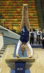 Lewis takes first in all-around