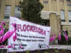 Flocked flamingos raising awareness of abuse problem
