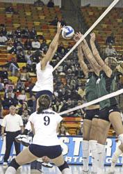 Rainbow Wahine have way with Aggie spikers Saturday