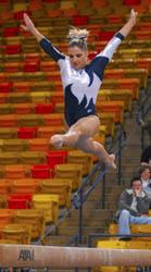 Gymnasts post season-highs to crush the SUU Thunderbirds