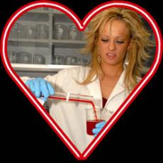 The science of love