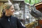 Caged In: A Day at the Zoo