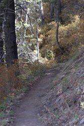 A Cache Stash of Trails