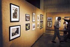 Student, faculty work on display after going to Scotland in the first photography study abroad program at USU