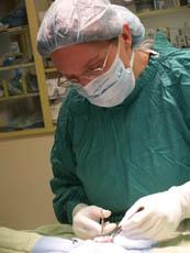 A day in the life of a veterinarian