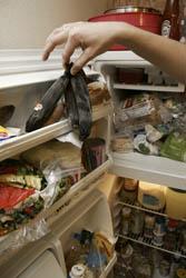 Attack of the Student Fridge