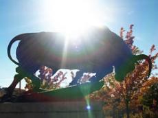 PHOTO STORY: Artistic views on campus