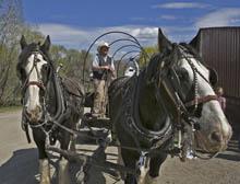 Horse Parade a Northern Utah Tradition