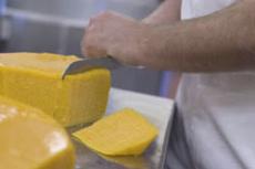 Cheese it: USU’s home for top research facility