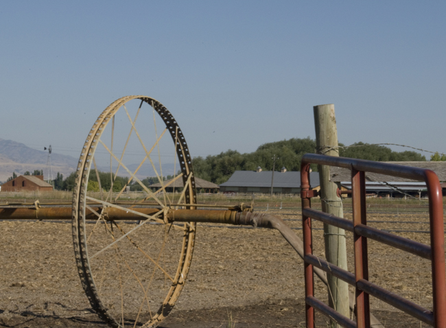 Putting the ‘Ag’ in Aggies