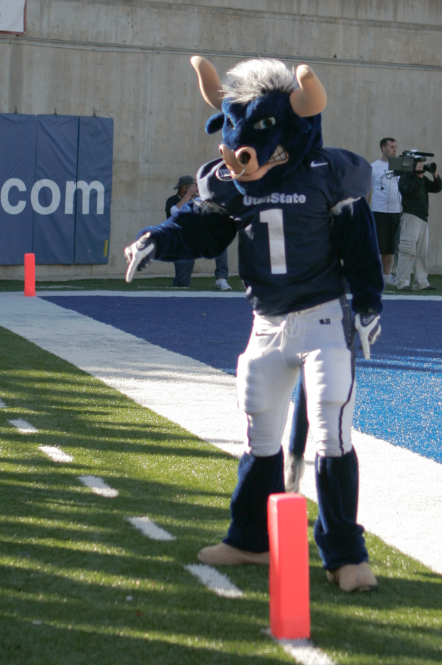 The man in the suit: A day in the life of Big Blue