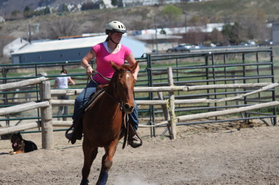 Class teaches students how to get on that horse and ride